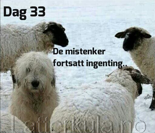 hemmelig sex norske sex bilder hemmelig sex norske sex bilder