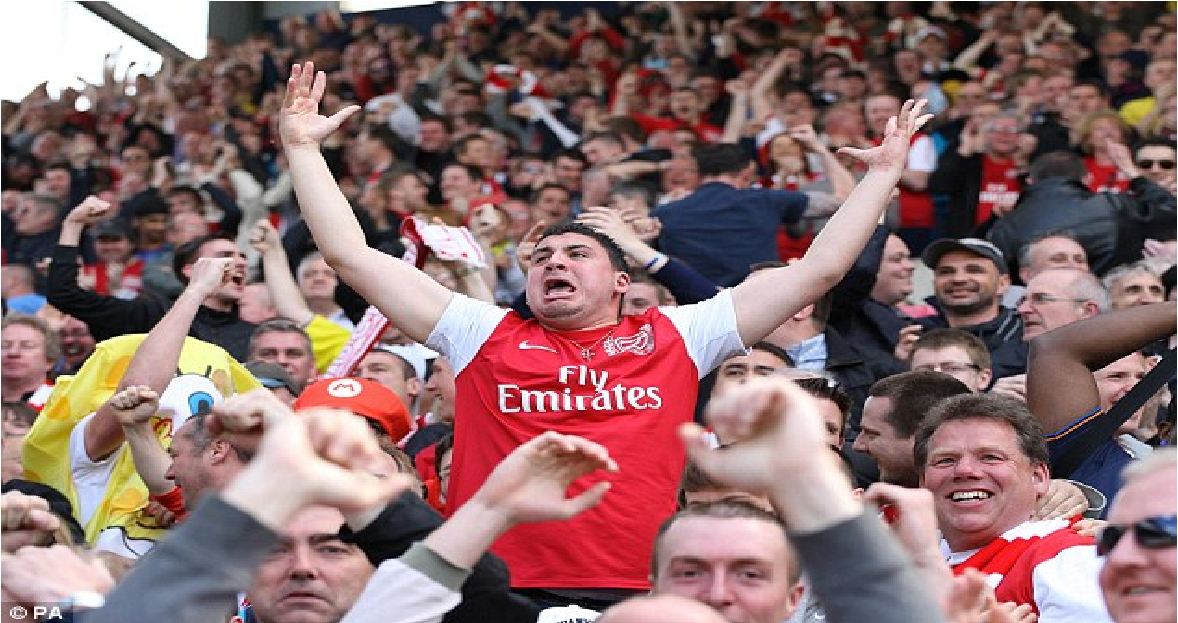 arsenal-vits-fan-latterkula