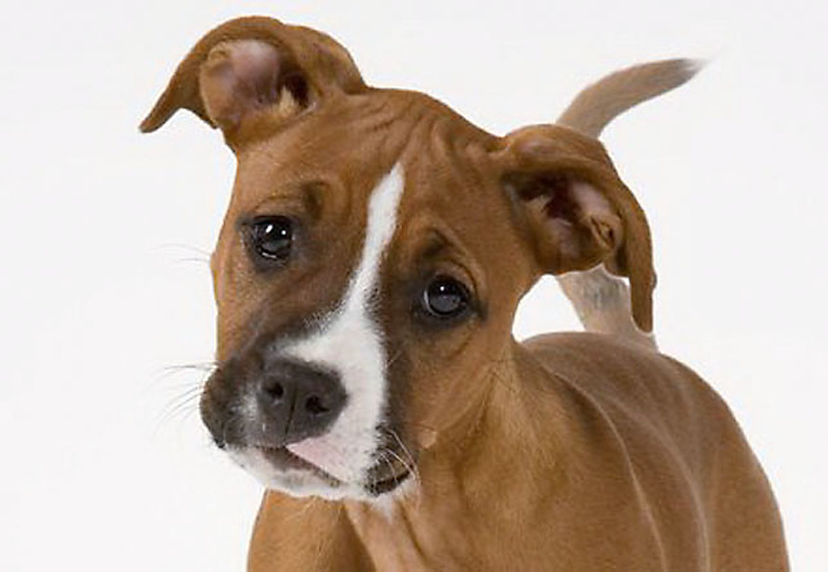 doghole_top