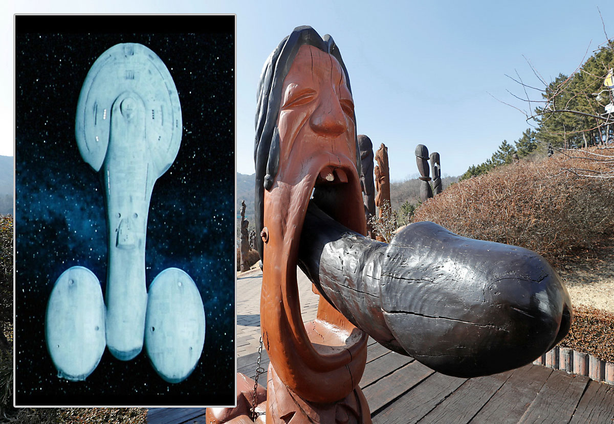 penis-top